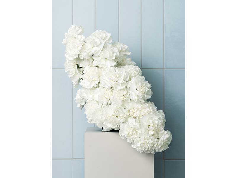 Svedbergs Bathroom - Forma